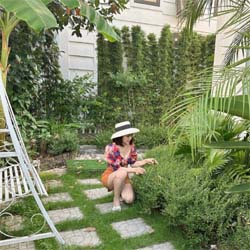 Ảnh đại diện